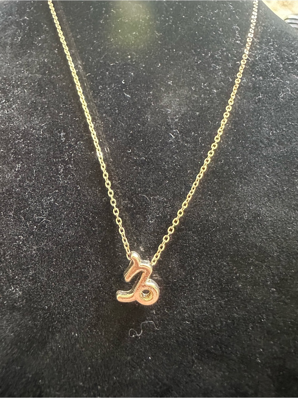Gold Capricorn Zodiac Pendant Necklace for Women